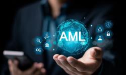 Featured image of post AI-Powered AML Risk Assessment Software Solution
