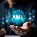 AI-Powered AML Risk Assessment Software Solution