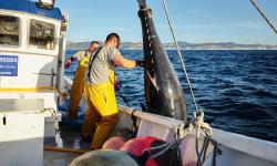 Featured image of post Real-Time Remote Monitoring System for Fishing Vessels