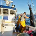 Real-Time Remote Monitoring System for Fishing Vessels